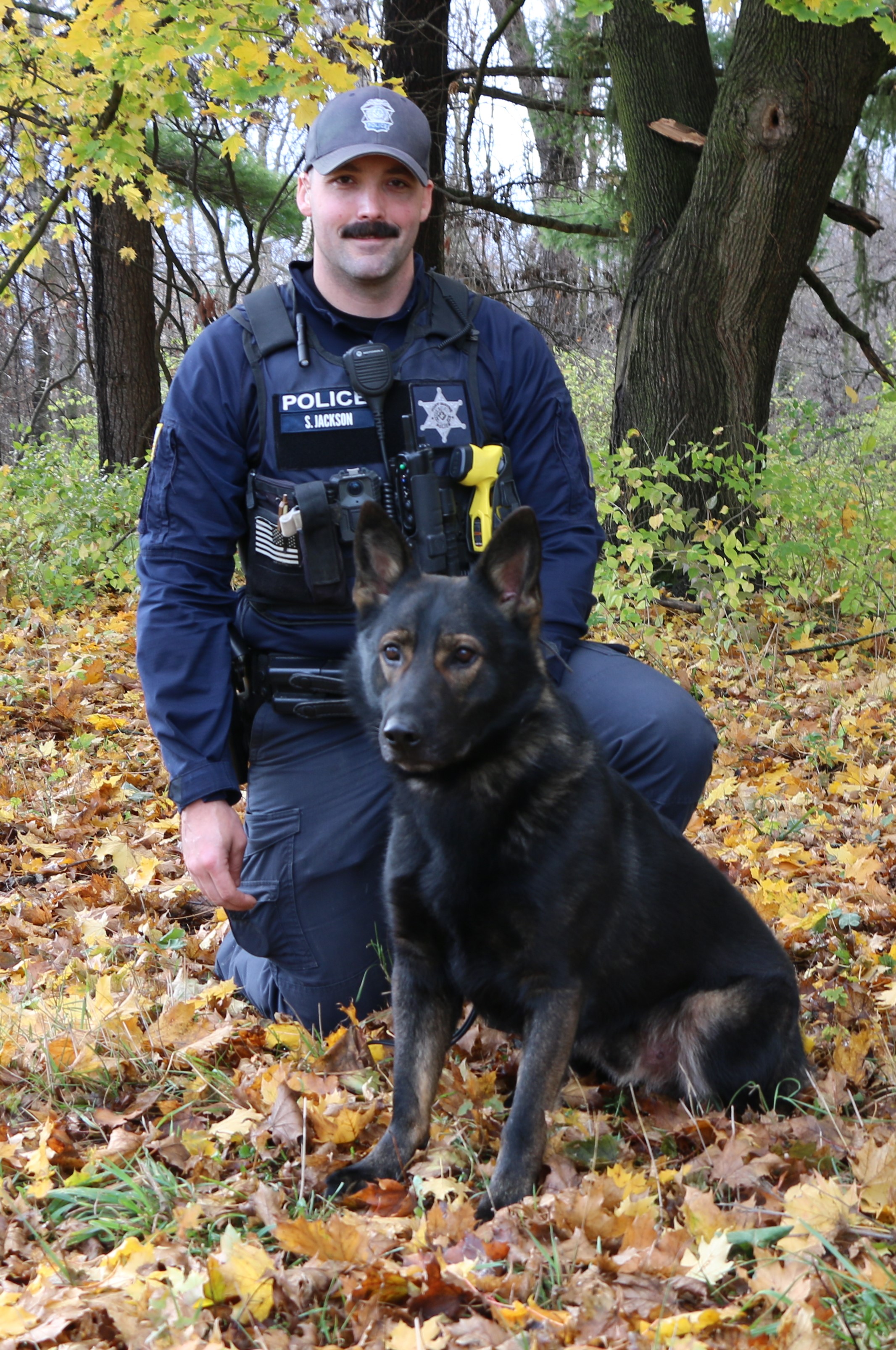 K9 Bella