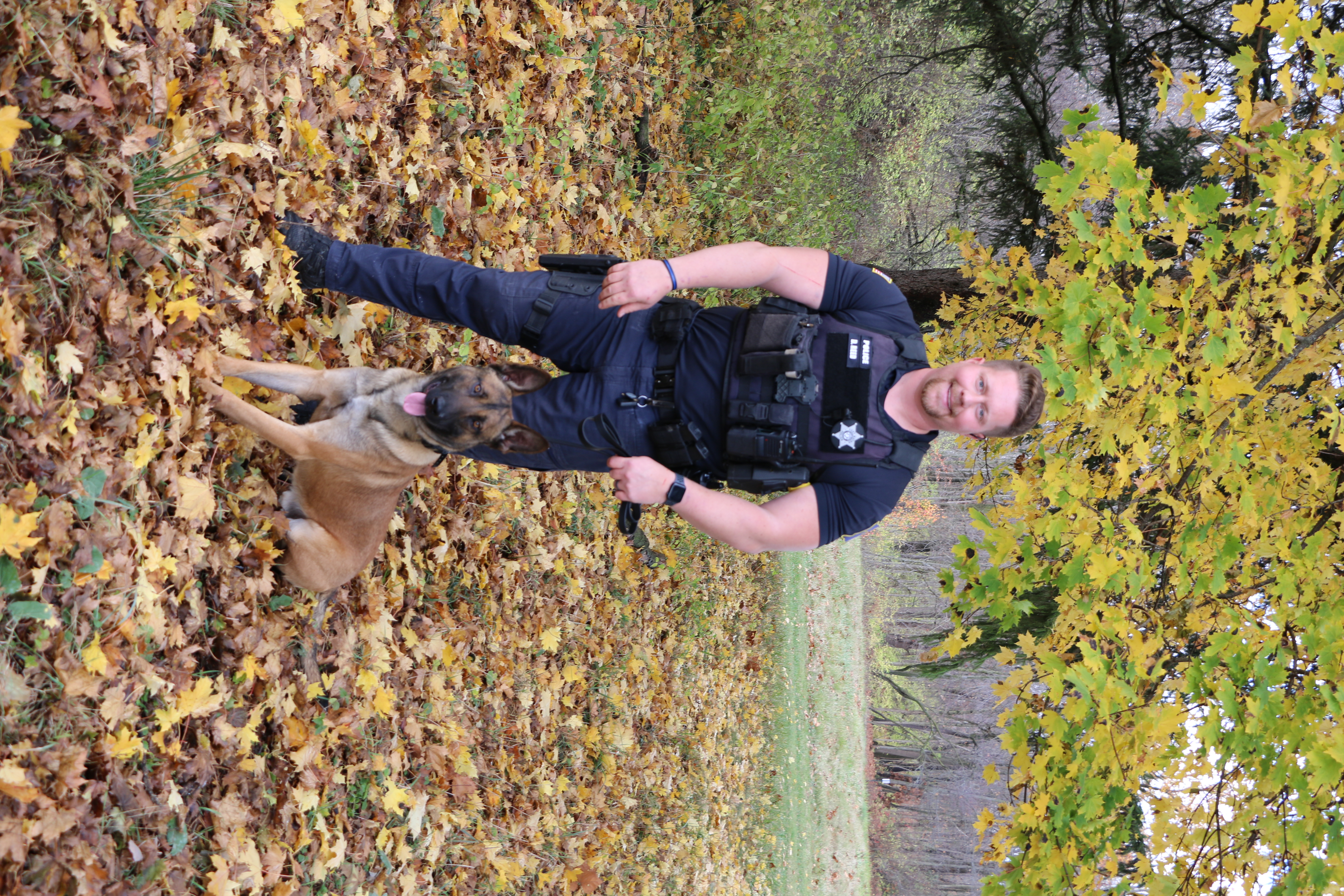 K9 Blue