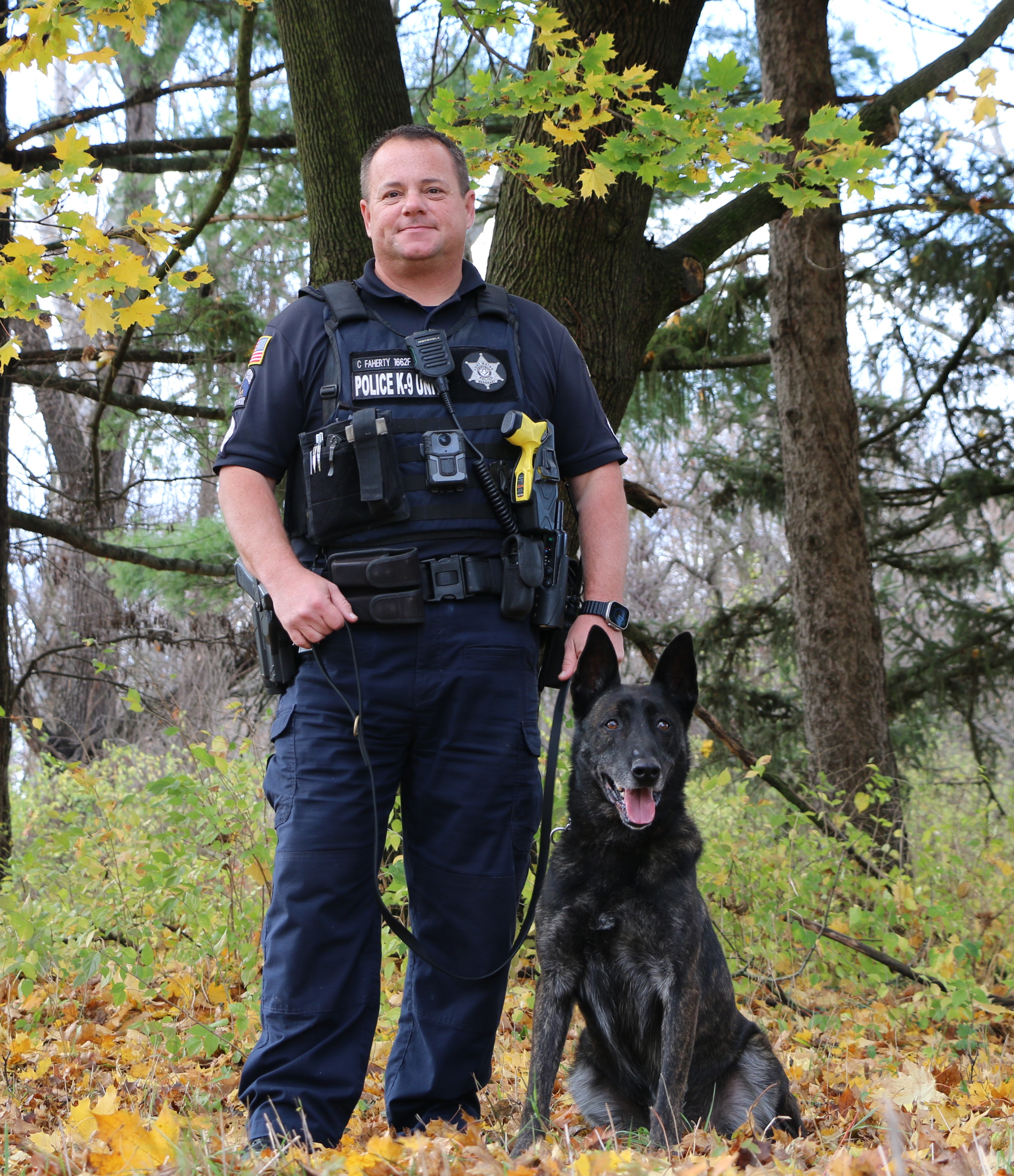 K9 Loki