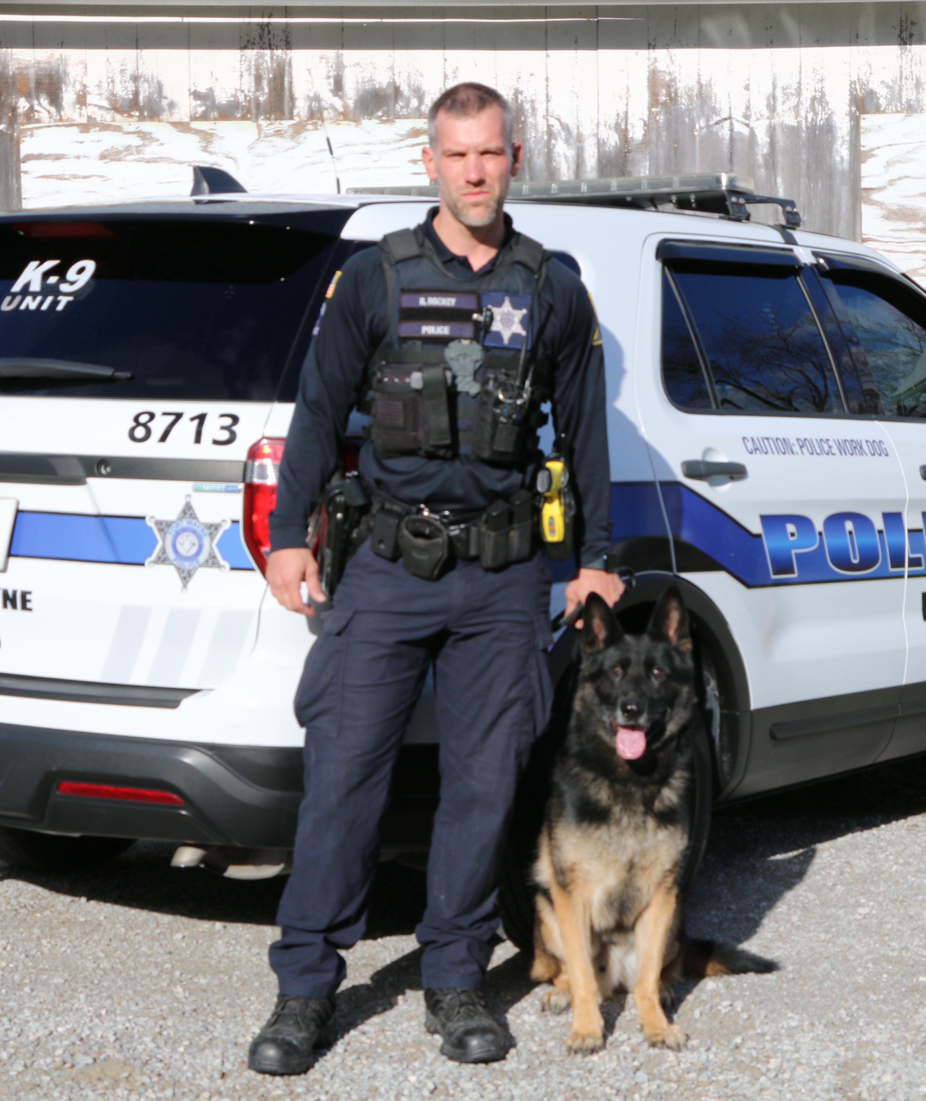 K9 Rock
