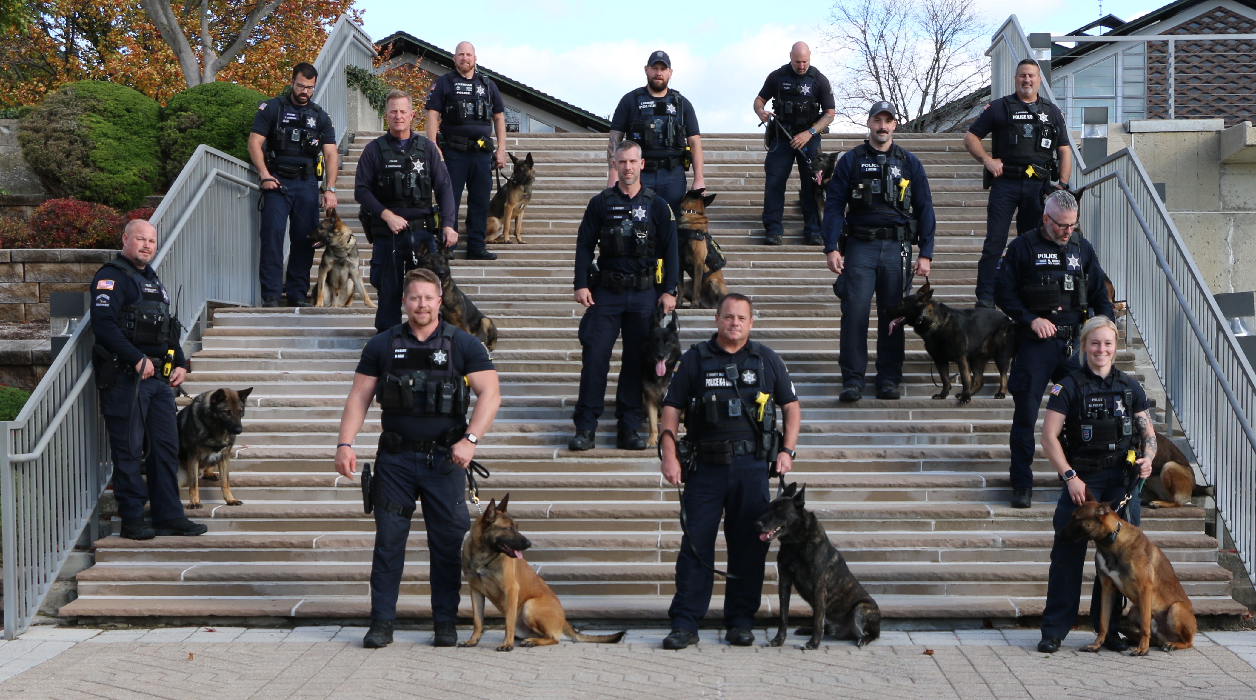 K9 Team