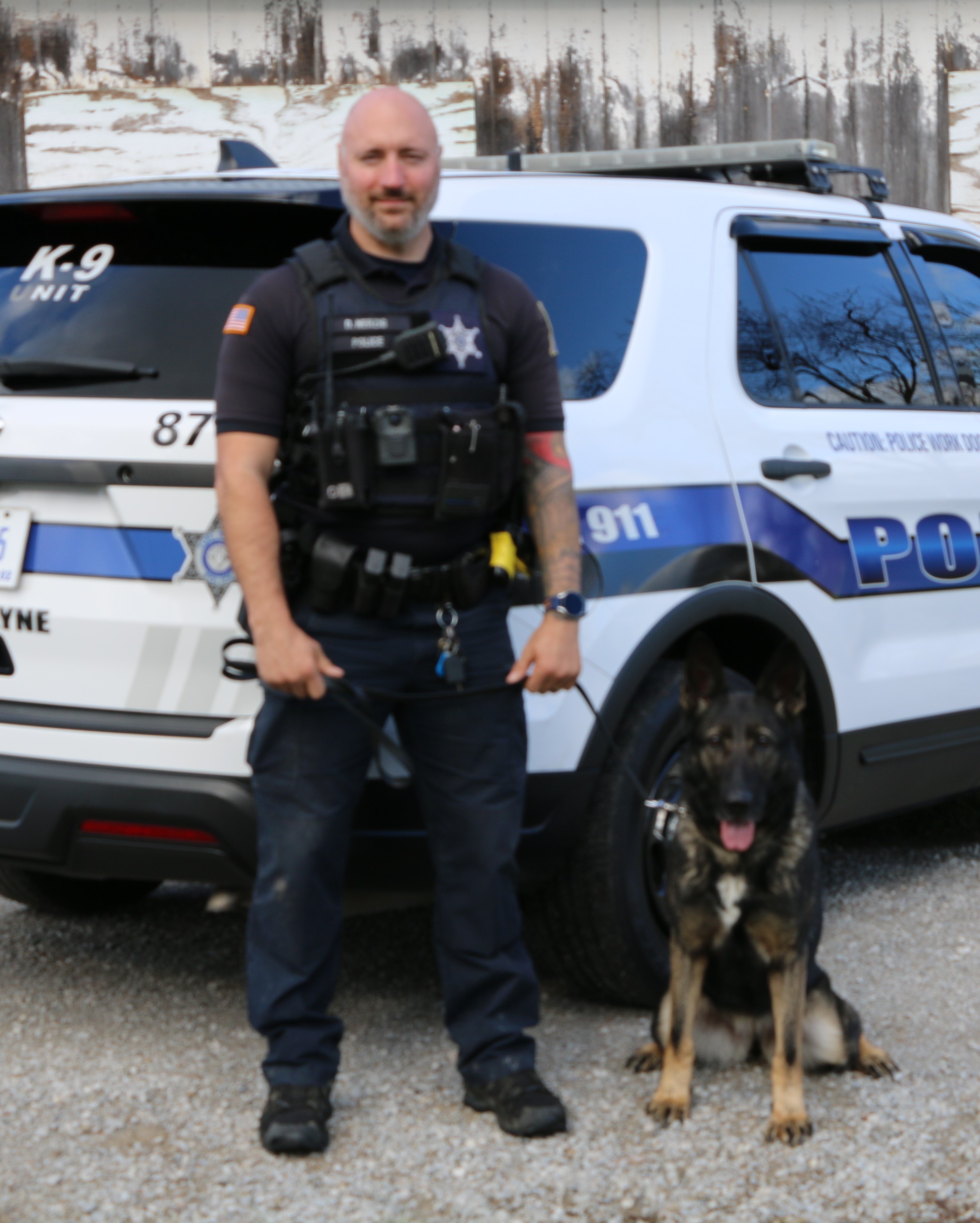 K9 Rock
