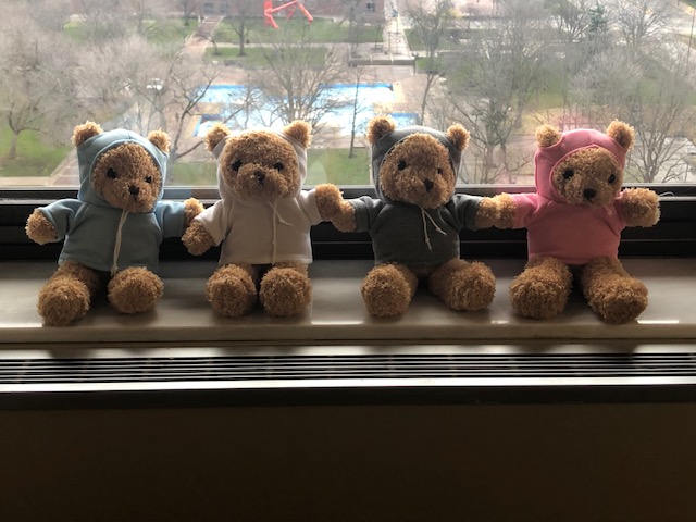 TeddyBearDonation