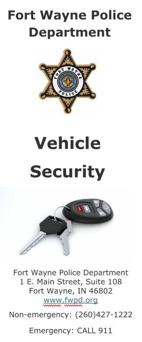 Vehicle Security Page 01 Snapshot 01